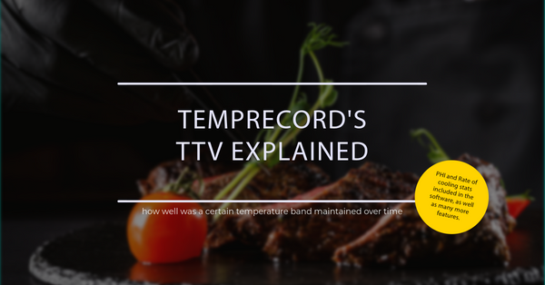 total temperature value explanation with a visual of a cooked steak on a plate